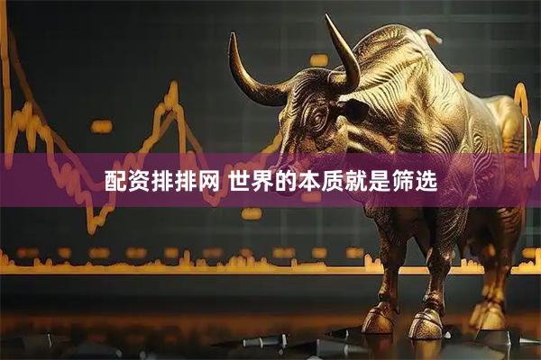配资排排网 世界的本质就是筛选