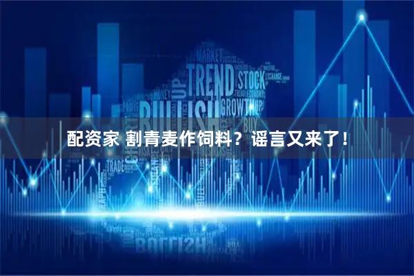 配资家 割青麦作饲料？谣言又来了！